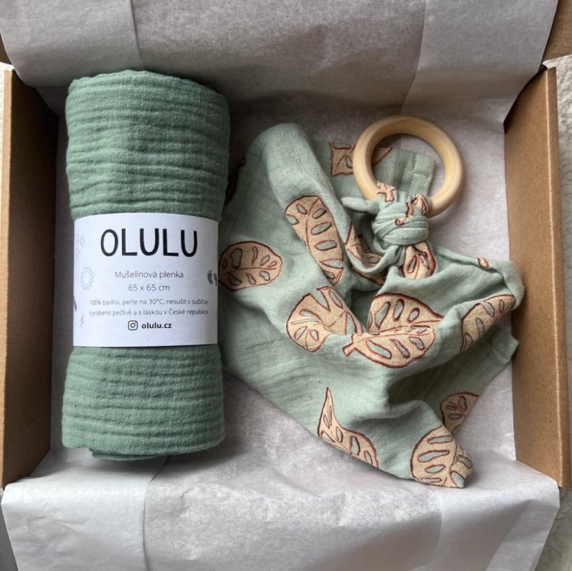 Mini set zelená a monstery